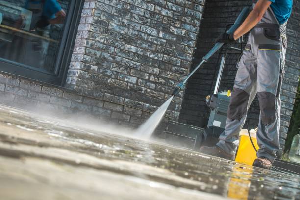Best Patio and Deck Pressure Washing  in Royal Palm Estates, FL