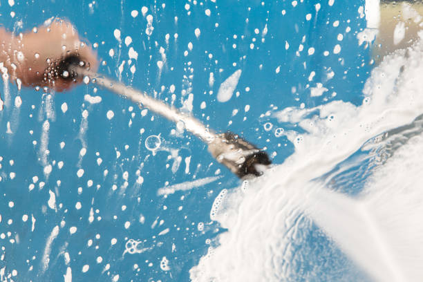Best Driveway Pressure Washing  in Royal Palm Estates, FL